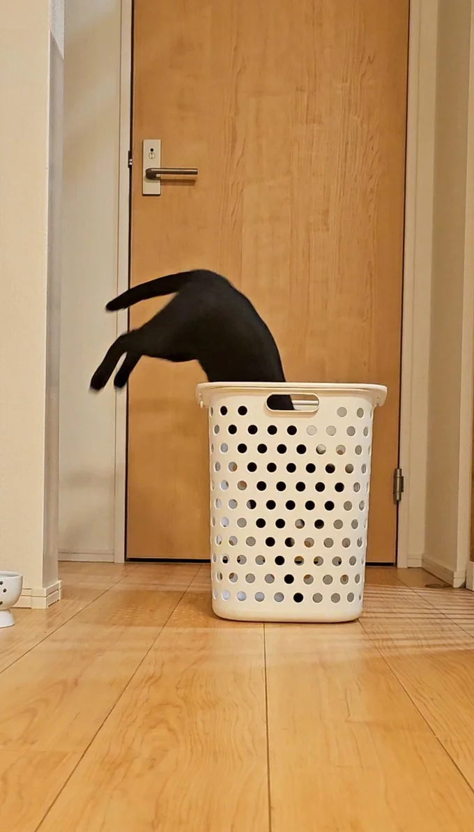 入っていくニャン▶奥に見えるのは…（⇒次へ）