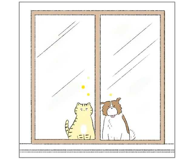 ふたりして窓の外を眺める「自宅警備」。時折手を振られてほっこり／ターとアグのしあわせ日和（11）