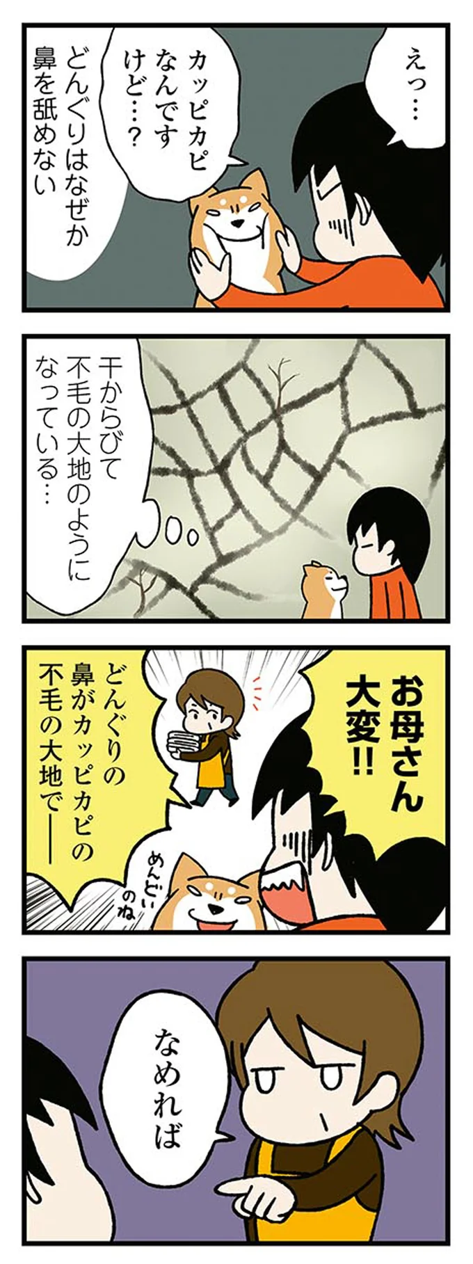 『ドヤ顔柴犬どんぐり』より