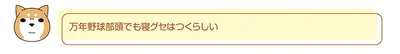 『ドヤ顔柴犬どんぐり』より