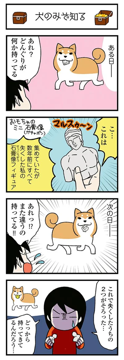 『ドヤ顔柴犬どんぐり』より