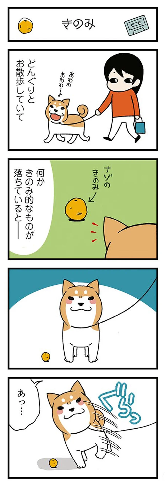 『ドヤ顔柴犬どんぐり』より