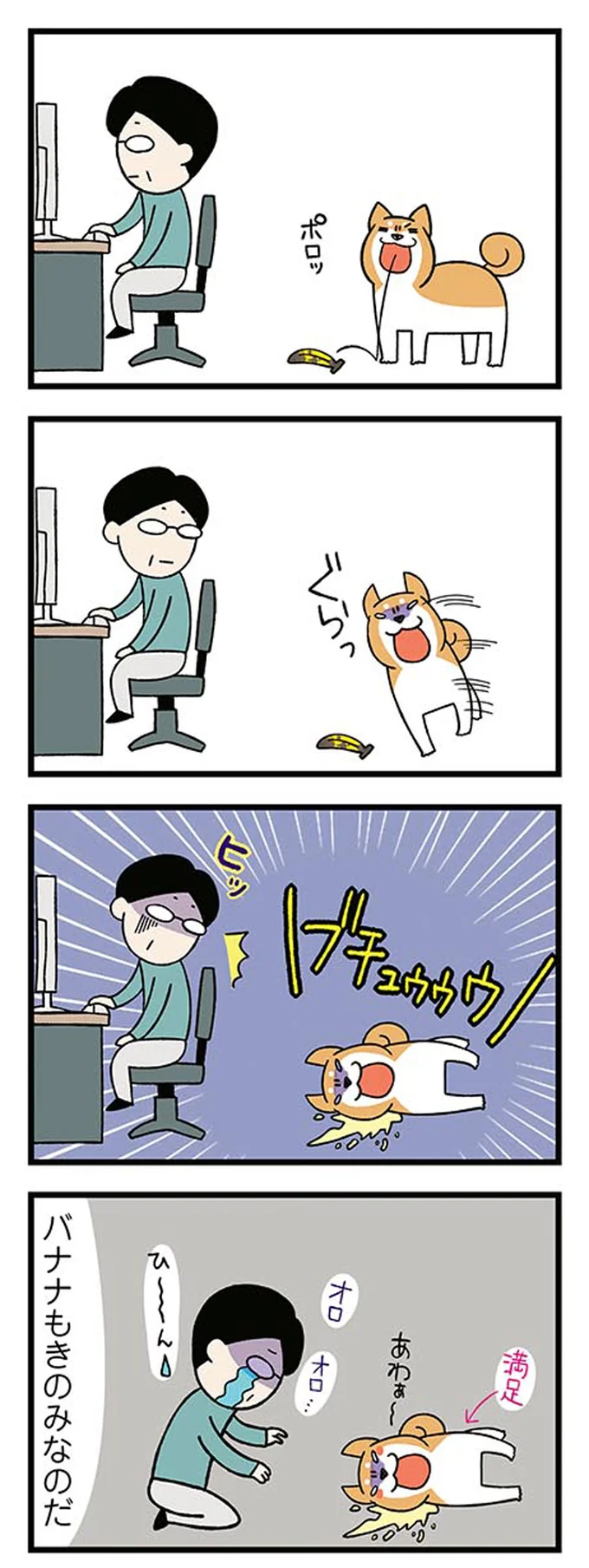 『ドヤ顔柴犬どんぐり』より