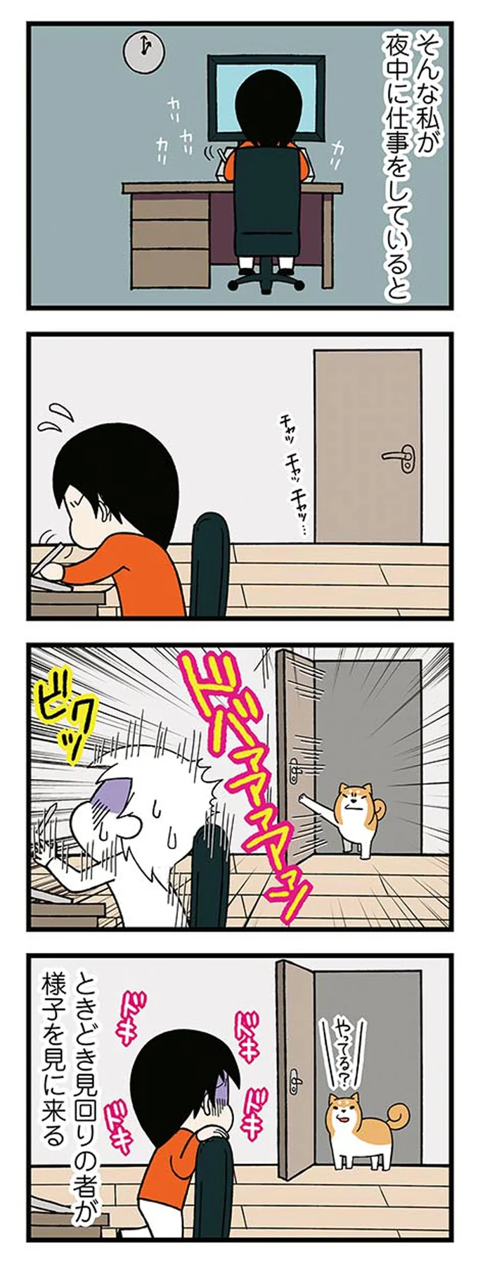 『ドヤ顔柴犬どんぐり』より