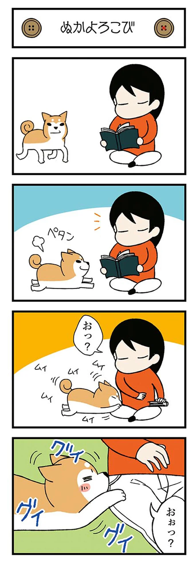 『ドヤ顔柴犬どんぐり』より