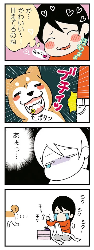 『ドヤ顔柴犬どんぐり』より