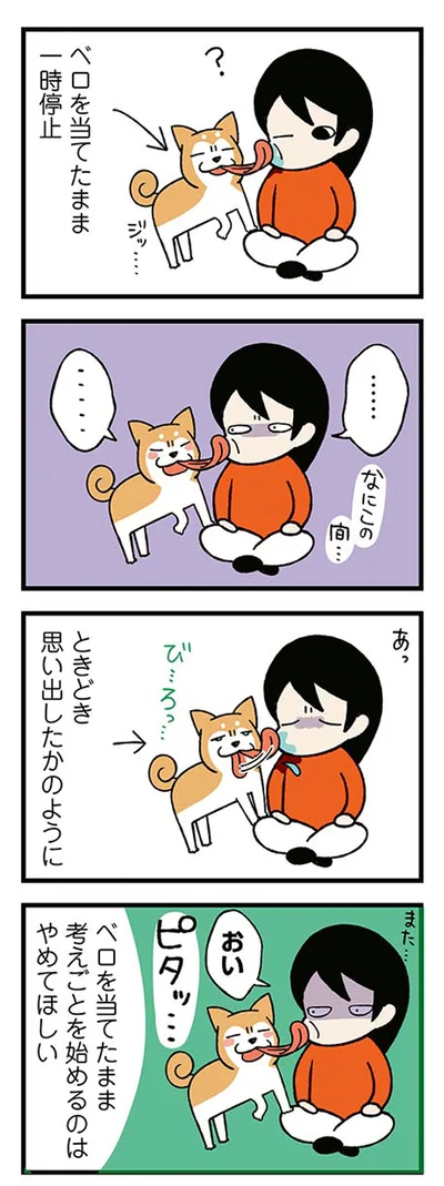『ドヤ顔柴犬どんぐり』より