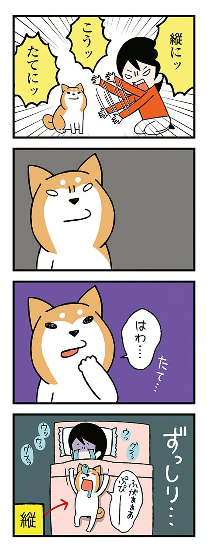 『ドヤ顔柴犬どんぐり』より