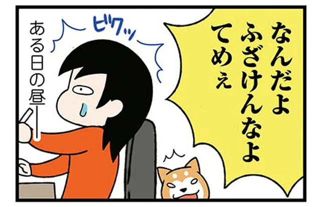 家の前が騒がしい!柴犬も気になるカップルの大ゲンカ