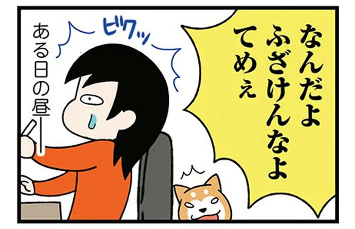 家の前が騒がしい!柴犬も気になるカップルの大ゲンカ