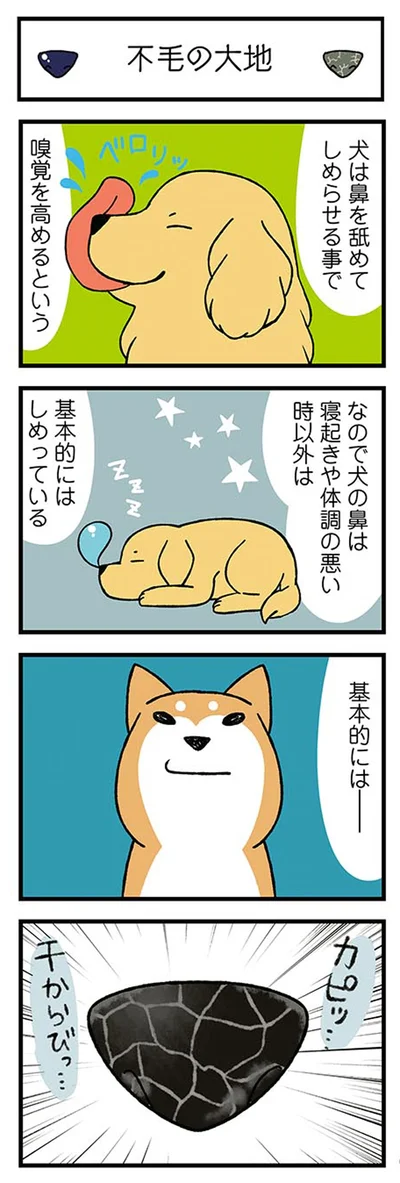 干からびっ…