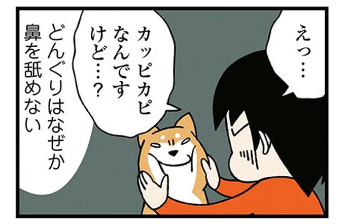 カッピカピなんですけど…？