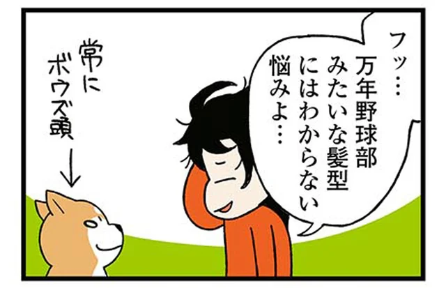 ボウズ頭だと思っていたのに。ある朝見つけた柴犬のふにゃふにゃ寝グセ