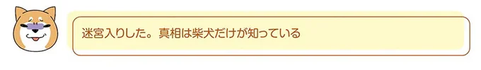 柴犬だけが知っている