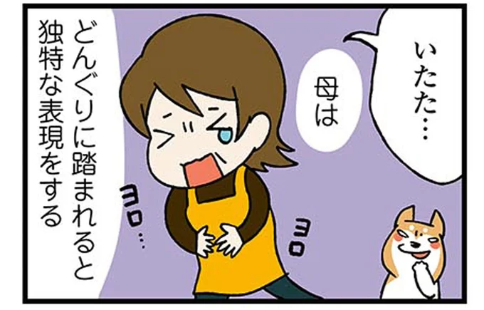 母はどんぐりに踏まれると独特な表現をする