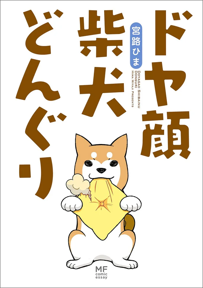 『ドヤ顔柴犬どんぐり』