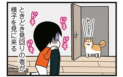 ときどき見回りの者が様子を見に来る