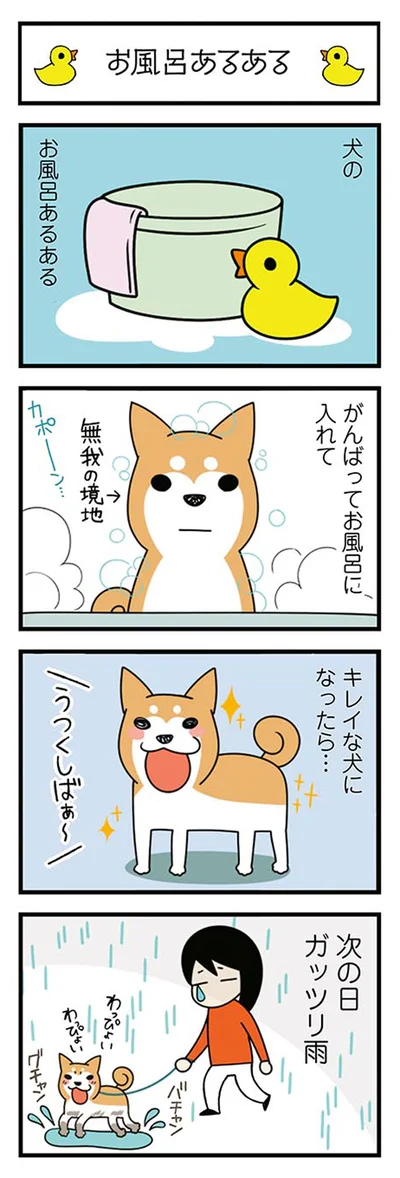 次の日ガッツリ雨