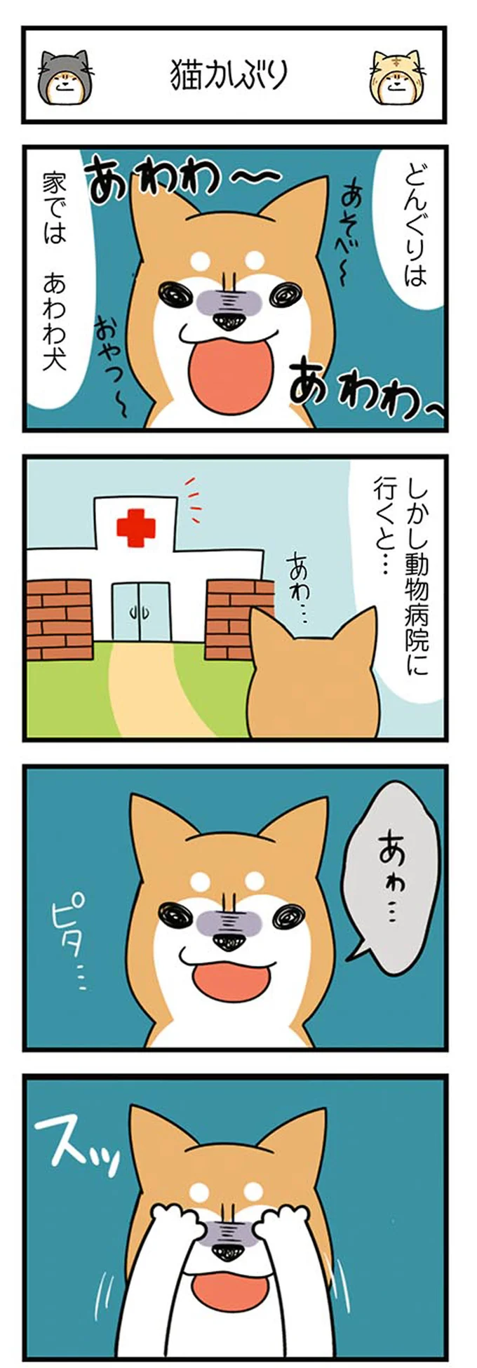 家ではあわわ犬