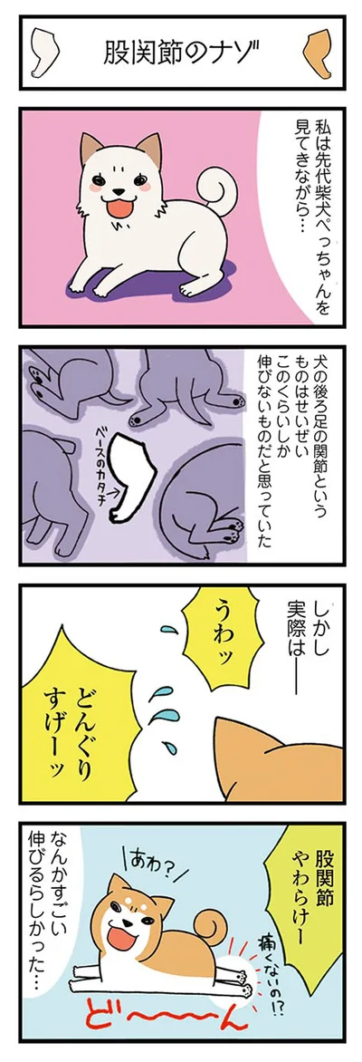どんぐりすげーッ