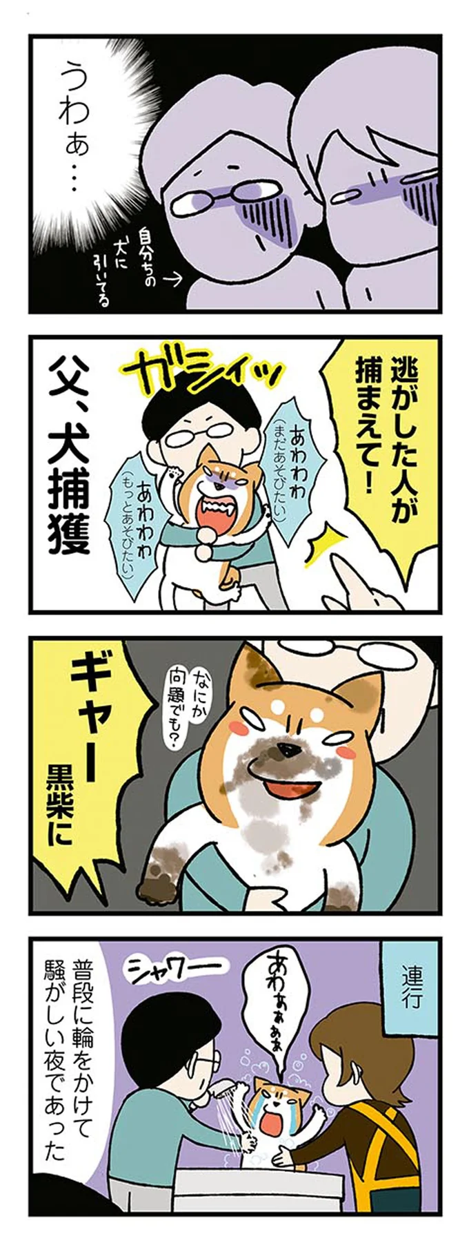 父、犬捕獲