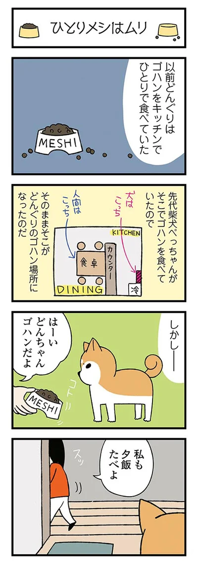 どんちゃんゴハンだよ