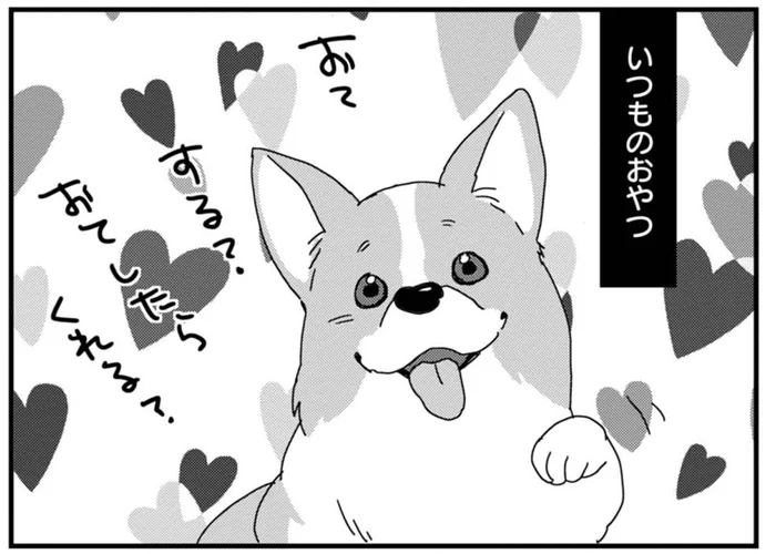 「お手したらくれる？」いつものおやつと大好物で変わるワンコのリアクション！／あしょんでよッ ～うちの犬ログ～1（2）