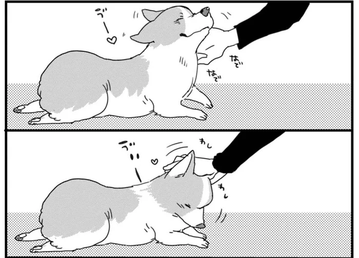 なでなでされるとあんよがパタパタ！うちの子の不思議なスイッチ／あしょんでよッ ～うちの犬ログ～1（5）