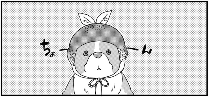 キョトン顔もかわいい！うちのワンコが被り物を嫌がらないわけ／あしょんでよッ ～うちの犬ログ～1（8）