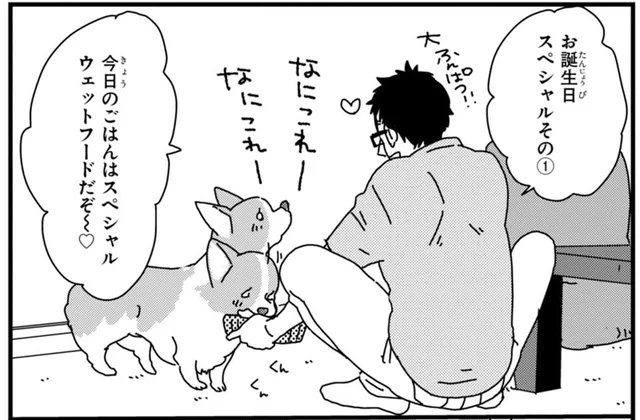 愛犬の誕生日を盛大にお祝い！よかれと思ってしたことが裏目に？／あしょんでよッ ～うちの犬ログ～2（1）
