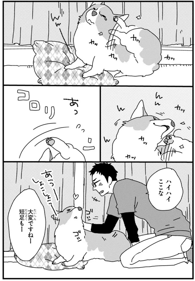 『あしょんでよッ ～うちの犬ログ～ 2』より