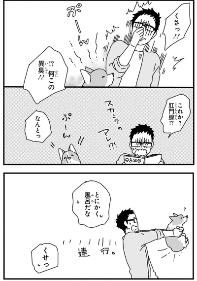 『あしょんでよッ ～うちの犬ログ～ 2』より