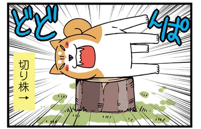 切り株にも挑戦