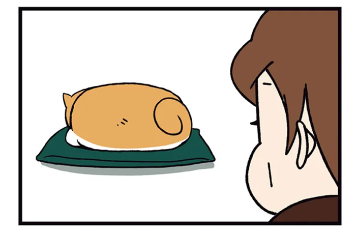 寝そべる柴犬にヒントが!?母がひらめいた夕ごはんの献立