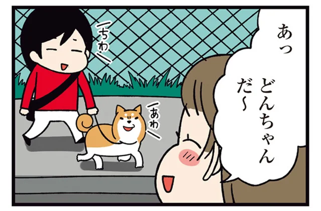 柴犬どんぐりのいろんな呼び名。隣のおばあちゃんだけ独特！