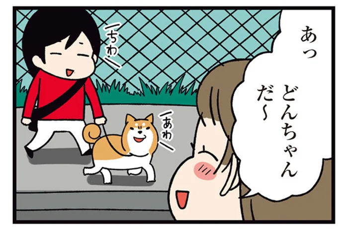 柴犬どんぐりのいろんな呼び名。隣のおばあちゃんだけ独特！