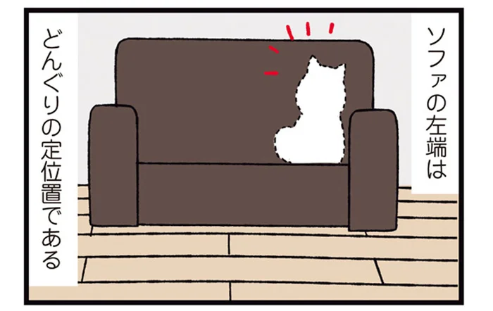 ソファの左端はゆずれない！定位置にこだわる柴犬のポジション争い