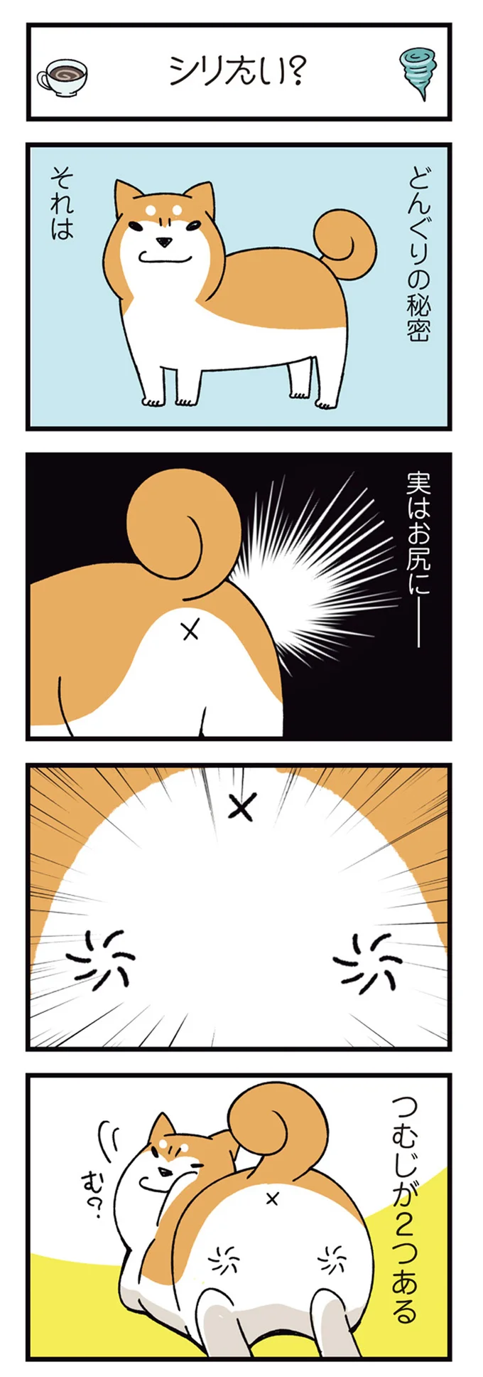 どんぐりの秘密