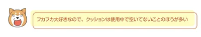 クッションは空いてないことのほうが多い