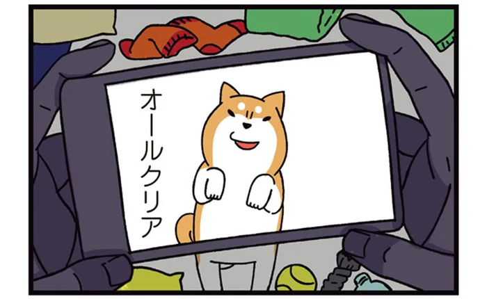 写真の中は完璧だけど。柴犬撮影の裏で行なわれていること