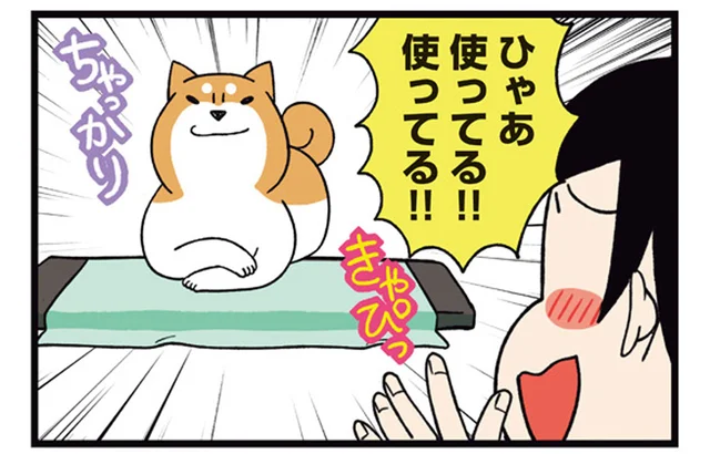 快適アイテムのはずが!? 柴犬にひんやりマットを出してみた