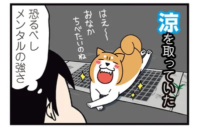 恐るべしメンタルの強さ