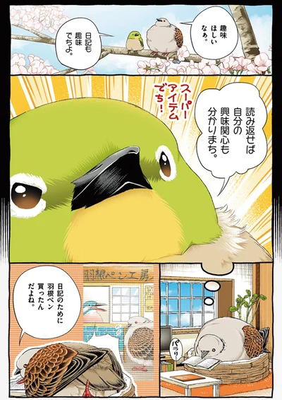 『キジバトくん日記2』より