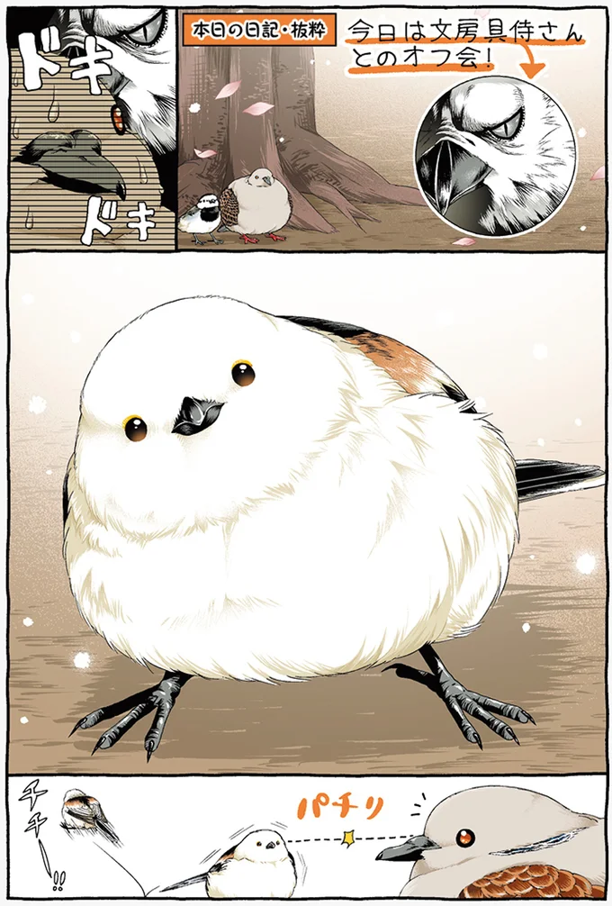 『キジバトくん日記2』より