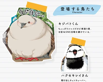登場する鳥たち