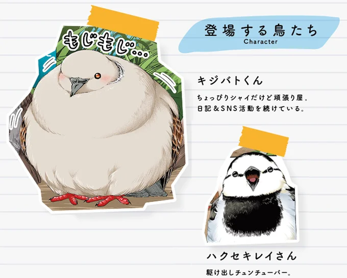 登場する鳥たち