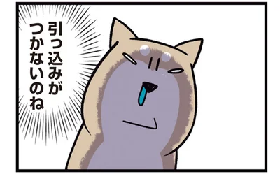 引っ込みがつかないのね