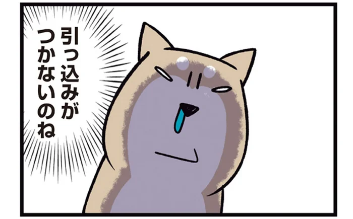 引っ込みがつかない!? 散歩中の柴犬が道端の葉っぱに見せた表情