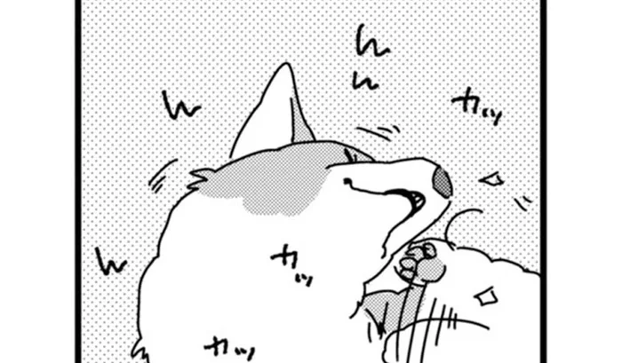 かゆいところに足が届かない～！短足コーギーの困った悩み