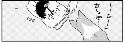 愛犬が遊んでアピール。拒否されると、奥の手を使ってきた！